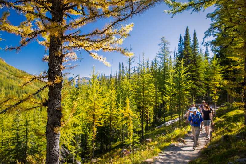 Banff National Park: Guided Signature Hikes with Lunch - Banff Pickup to Trailhead: How the 7 Hours Plays Out