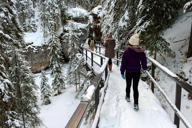 Banff National Park & Lake Louise FULL DAY PRIVATE TOUR - Lake Minnewanka and Two Jack Lake: optional winter scenery time