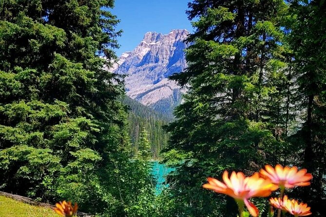 Banff National Park Moraine Lake and Lake Louise Explorer Tour - What you get at each stop: walking paths and photo strategy