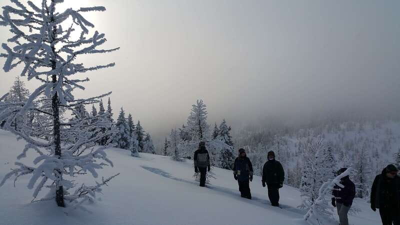 Banff National Park: Sunshine Meadows Snowshoeing Experience - Key highlights you’ll feel right away
