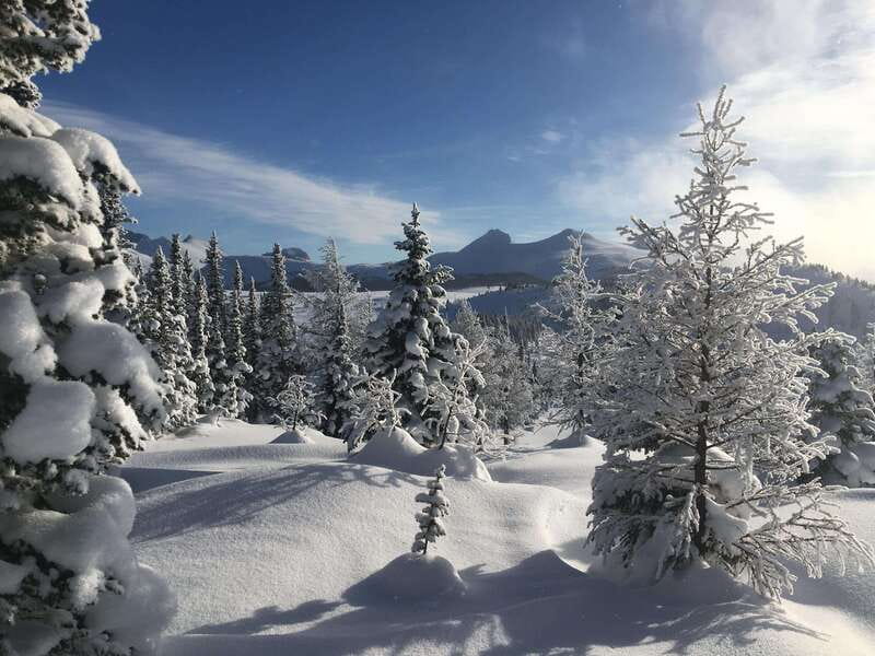 Banff National Park: Sunshine Meadows Snowshoeing Experience - Learning time that doesn’t feel like a lecture