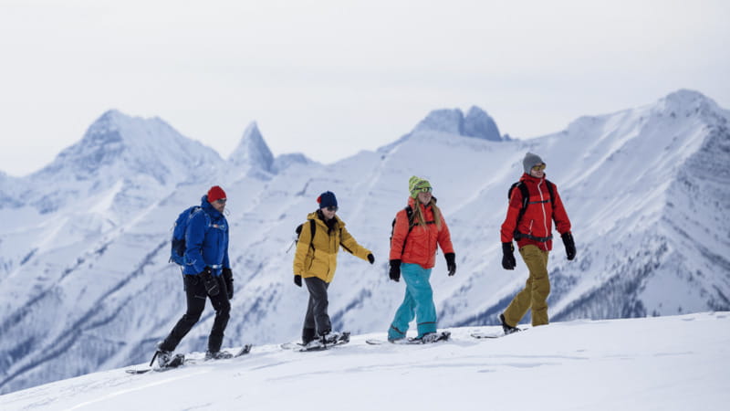Banff National Park: Sunshine Meadows Snowshoeing Experience - Group size, pace, and who this snowshoe trip is best for