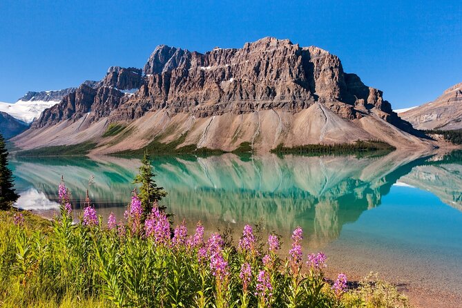 Banff National Park Tour with a Small Group - Key Highlights Before You Go
