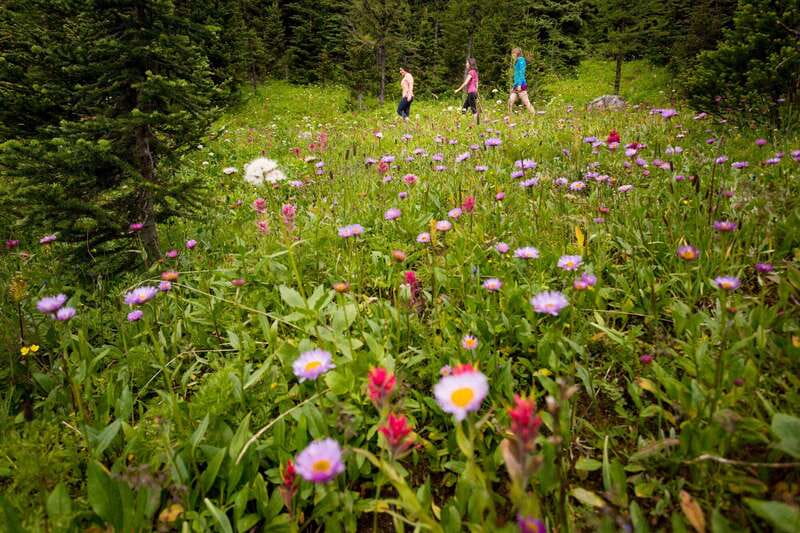 Banff PRIVATE Guided Nature Walk + Transportation - 2.5H - Coach ride to Banff: how you use the drive instead of losing time