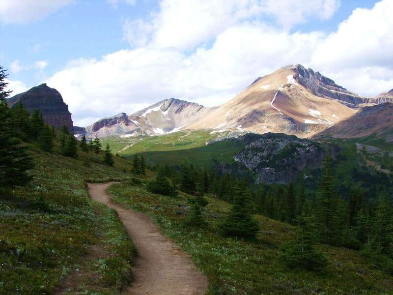 Banff PRIVATE Guided Nature Walk + Transportation - 2.5H - The guided walking portion: custom trails for real wildlife reading