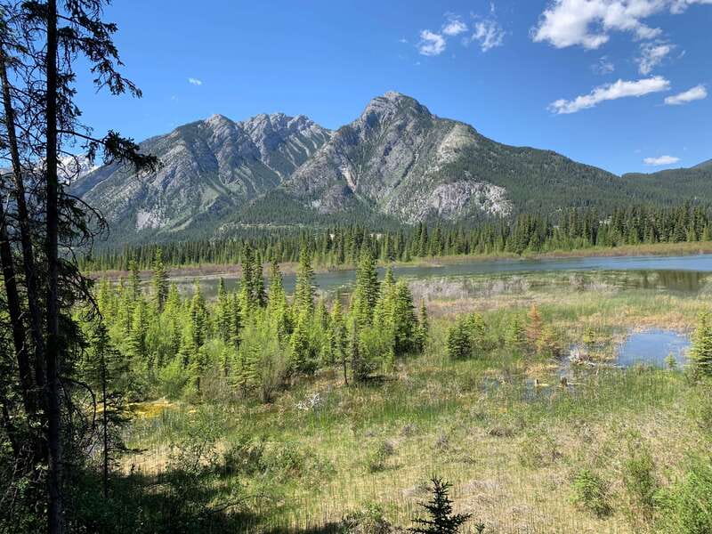 Banff PRIVATE Guided Nature Walk + Transportation - 2.5H - Cave and Basin start point: easy to find, good for a quick reset