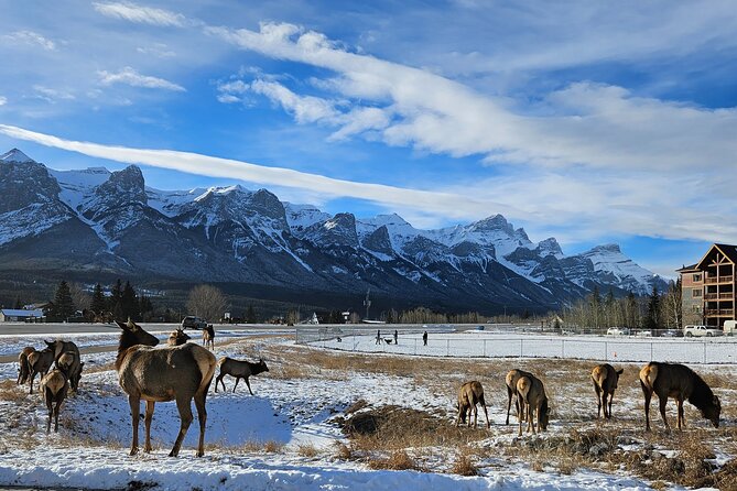 Banff Private Tour - Beyond the basics - Canmore coffee stop and the Three Sisters backdrop