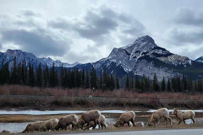 Banff Private Tour - Beyond the basics - Two Jack Lake and Lake Minnewanka, beyond the usual single view