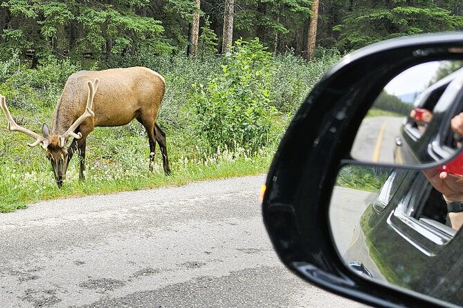 Banff Private Tour - Beyond the basics - The return to Calgary: a slow landing from mountain mode