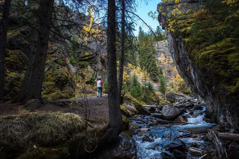 Banff: Thermal Waters and Hidden Waterfalls - 3hr Walk - The on-trail learning moments you will remember