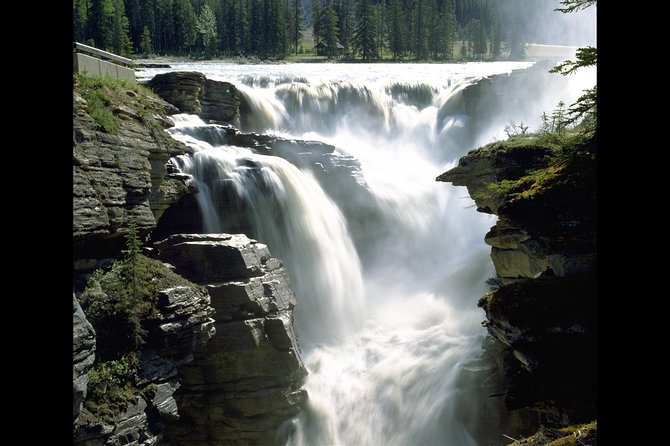 Banff to Jasper One-Way Tour - Icefields Parkway stops: Lake Louise, Bow Lake, Crowfoot Glacier