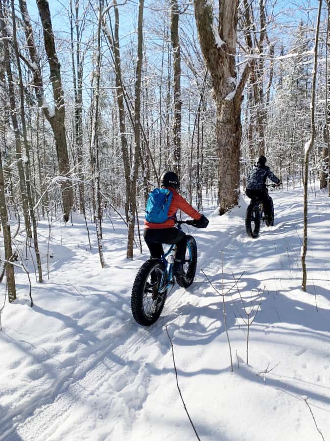 Banff Top Sights via Electric Fat Bike Tour All Skill Levels - Key Points at a Glance
