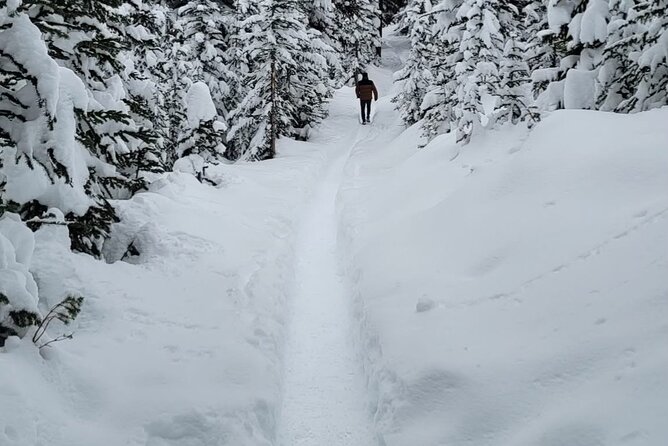 Banff Town, Lake Louise, Moraine, Emerald & Canyon Day Trip - Moraine Lake Access Timing: When the Ten Peaks Show Up