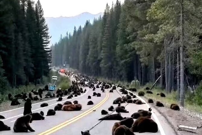 Banff Town, Lake Louise, Moraine, Emerald & Canyon Day Trip - The Banff National Park Sign: End-of-Day Photo Payoff
