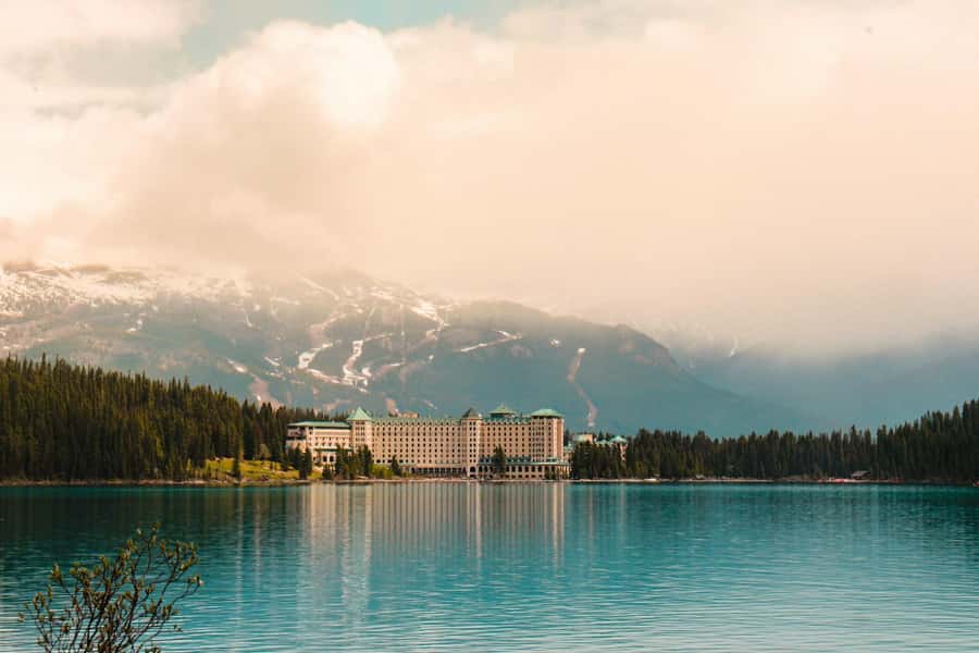 Banff Town: Lake Louise Moraine, Glacier, Peyto & Bow Lake - Peyto Lake from Bow Summit: the wolf-shaped viewpoint