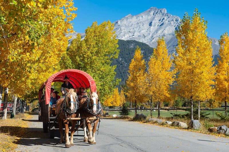Banff: Wagon Ride with Cowboy Cookout BBQ - First Stop: Warner Stables and a Horse-Forward Start