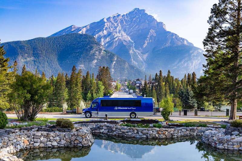 Banff: Wildlife and Sightseeing Minibus Tour - Morning Start: How This 3.5-Hour Minibus Loop Feels