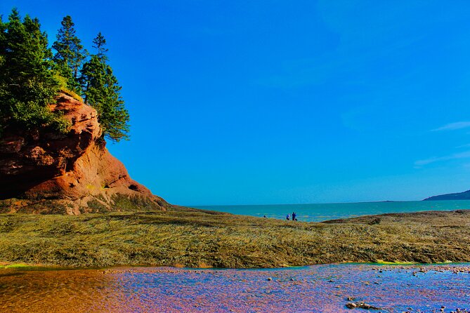 Bay Of Fundy Guided Tour - Reversing Falls: the tide show you’ll watch twice
