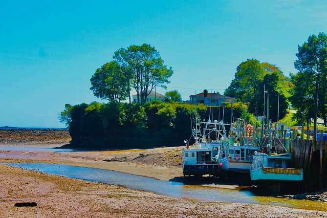 Bay Of Fundy Guided Tour - St. Martins Sea Caves: your 3-hour Bay of Fundy block
