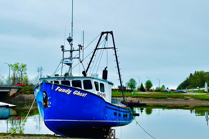 Bay Of Fundy Guided Tour - Who this tour suits best