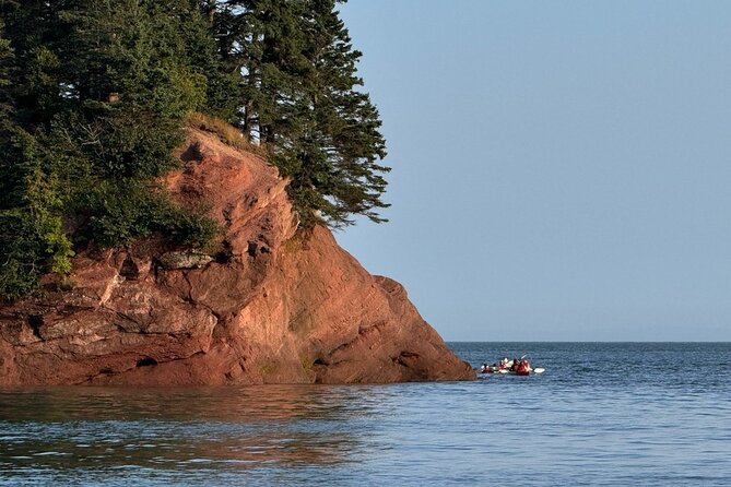 Bay Of Fundy Guided Tour - FAQ