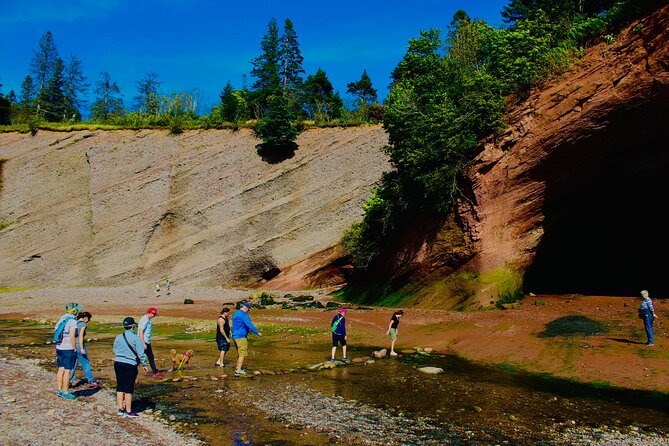 Bay Of Fundy Guided Tour - Stone Church and Rockwood Park: quick culture, local context