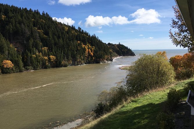 Bay of Fundy Tour by Bus - Fort Howe and Carleton Martello Tower, history with city views