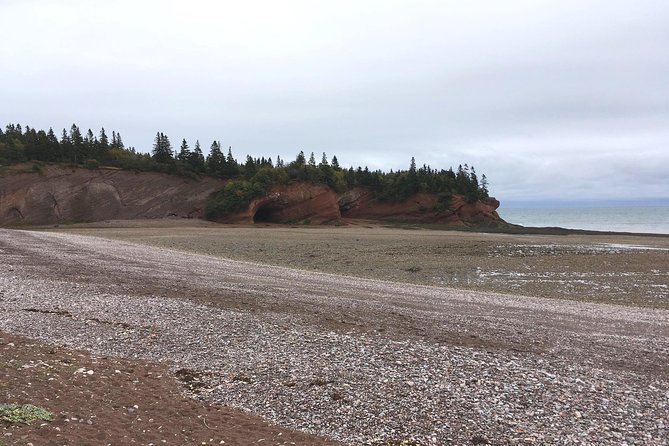 Bay of Fundy Tour by Bus - Bay of Fundy National Park, sea caves, lighthouse views, and covered bridges