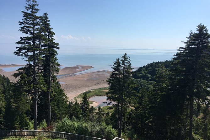 Bay of Fundy Tour by Bus - Guides who shape your day, from Steve to Abdul to Eddy