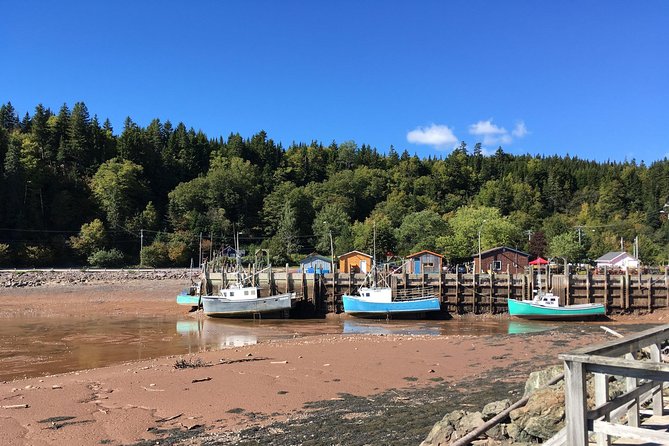 Bay of Fundy Tour by Bus - Comfort and weather, what to pack so rain does not ruin your mood