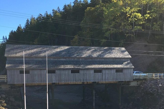 Bay of Fundy Tour by Bus - Cruise terminal pickup, and why the timing matters more than you think