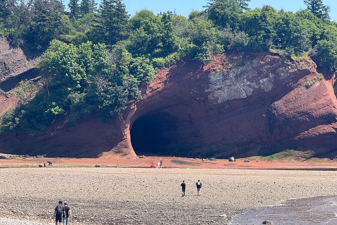 Bay of Fundy Tour Saint John NB - Price and Time: what $169 buys (and what costs extra)