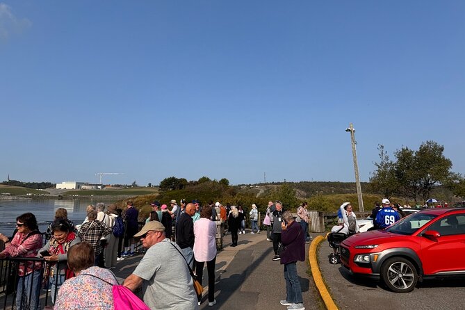 Bay of Fundy Tour Saint John NB - Reversing Falls Rapids: where the tides do the work for you