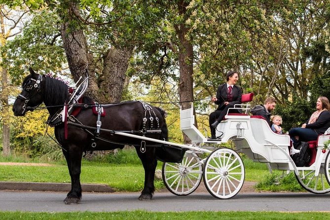 Beacon Hill Park Horse-Drawn Carriage Experience in Victoria - Key highlights to look for