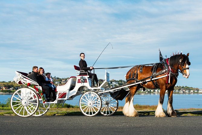 Beacon Hill Park Horse-Drawn Carriage Experience in Victoria - A one-hour carriage loop that hits Victoria’s best “wow”