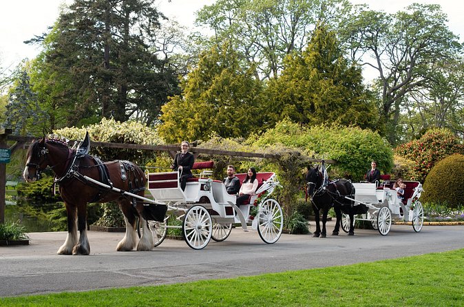 Beacon Hill Park Horse-Drawn Carriage Experience in Victoria - Beacon Hill Park: duck ponds, gardens, cedar-carved totem pole