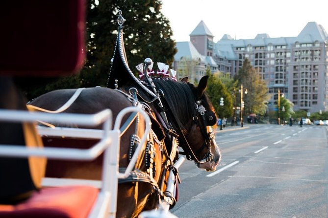 Beacon Hill Park Horse-Drawn Carriage Experience in Victoria - Comfort that actually helps: blankets, roof, and lanterns