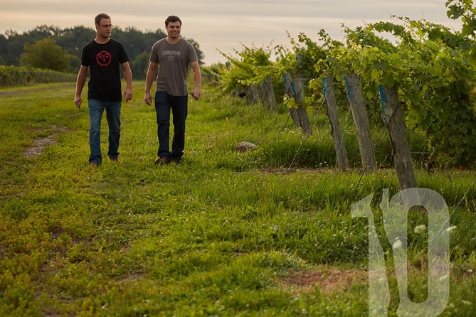 Between The Lines Classic Wine Tasting - Who should book this, and who should skip it