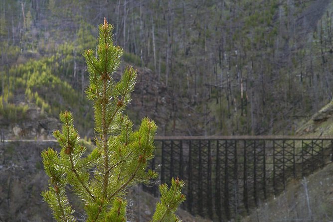 Bicyle Tour on Historical Kettle Valley Railway from Myra Canyon to Penticton - The KVR worker story near Adria Tunnel and rock ovens