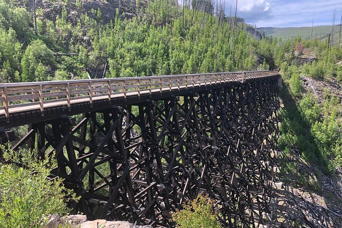 Bicyle Tour on Historical Kettle Valley Railway from Myra Canyon to Penticton - Pace, bike comfort, and who this fits best