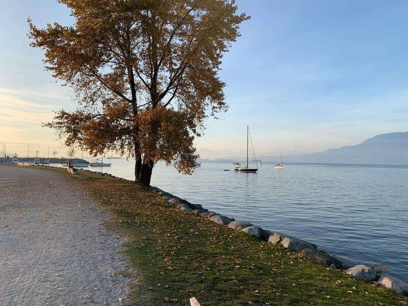 Bike and Hike Vancouver - Granville Island and False Creek: Easy Beauty, Real City Energy