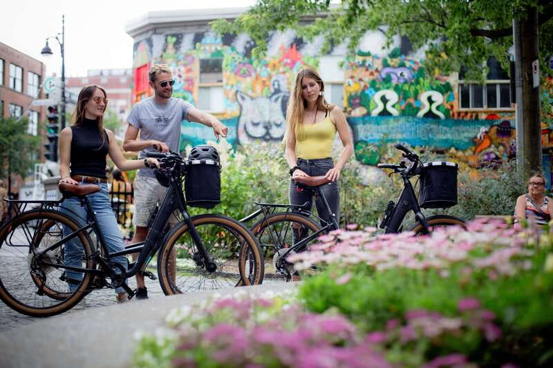 Bike/E-bike tour Plateau,MileEnd, Jean-Talon Market by Fitz - Plateau laneways: where murals and side streets do the talking
