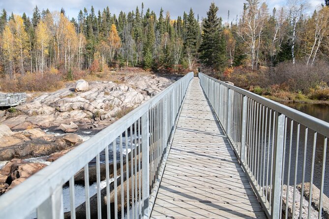 Black Bear viewing and walking at oudoor ctr's Canyon - Timing, group size, and comfort on a 2 hour 45 minute day
