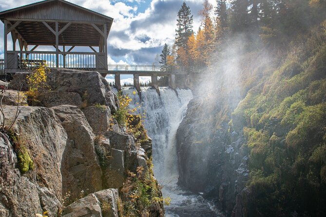 Black Bear viewing and walking at oudoor ctr's Canyon - Price and value: is $68 worth it in La Baie?