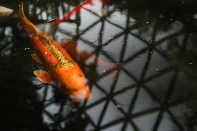 Bloedel Conservatory Admission Ticket - Hours in Vancouver, and why timing changes the experience