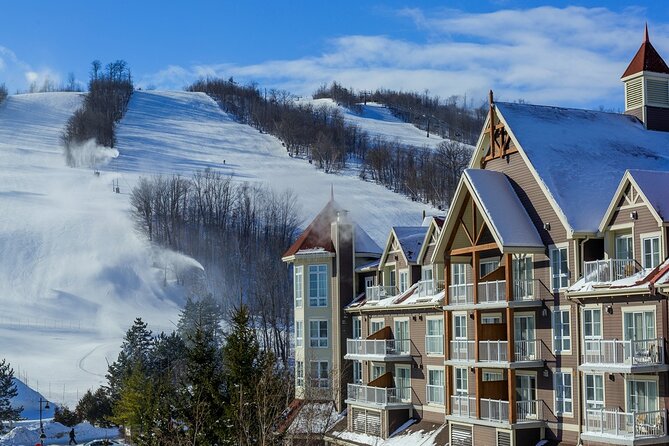 Blue Mountains Shuttle from Toronto – Village or Scenic Caves - Quick hits
