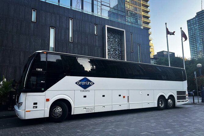 Blue Mountains Shuttle from Toronto – Village or Scenic Caves - Scenic Caves and the Suspension Bridge (upgrade option): walking shoes, cool air, and big views