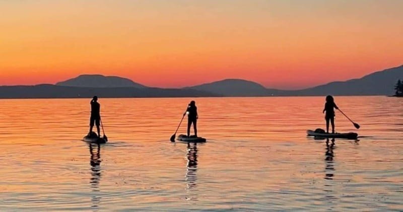 Brentwood Bay: Bioluminescence Tour - Key Highlights Worth Planning Around