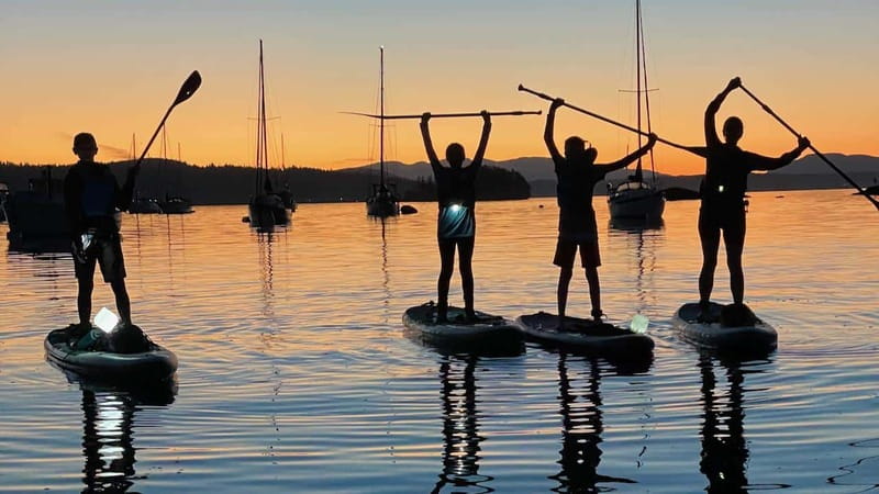Brentwood Bay: Bioluminescence Tour - Who This Tour Fits Best (and Who Might Reconsider)