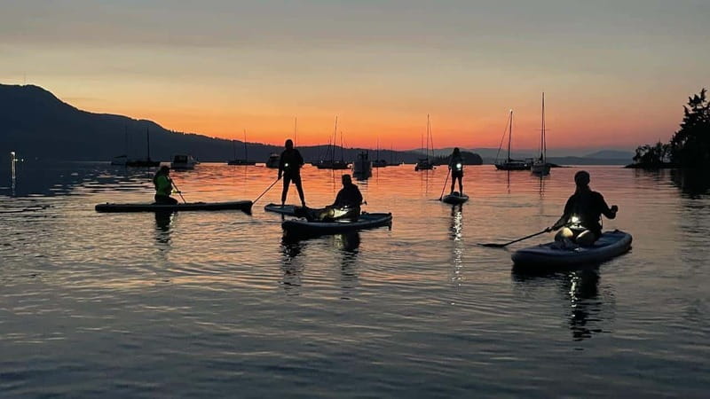 Brentwood Bay: Bioluminescence Tour - Night Light on the Water: What Makes Brentwood Bay Different
